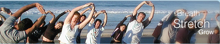  Stretch banner 2011   