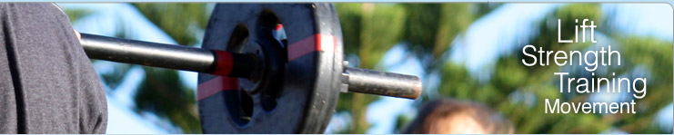  Strength banner 2011   